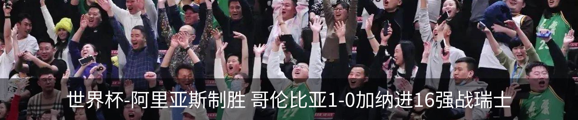 最新动态