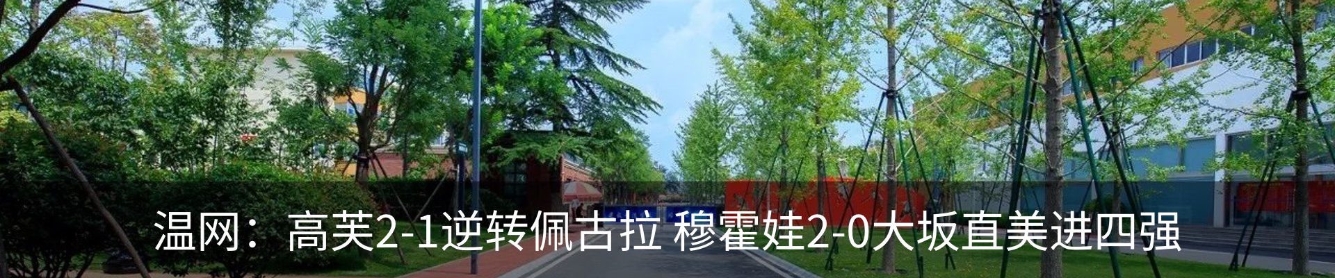最新动态