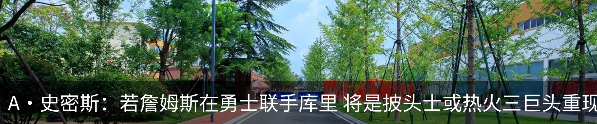 最新动态