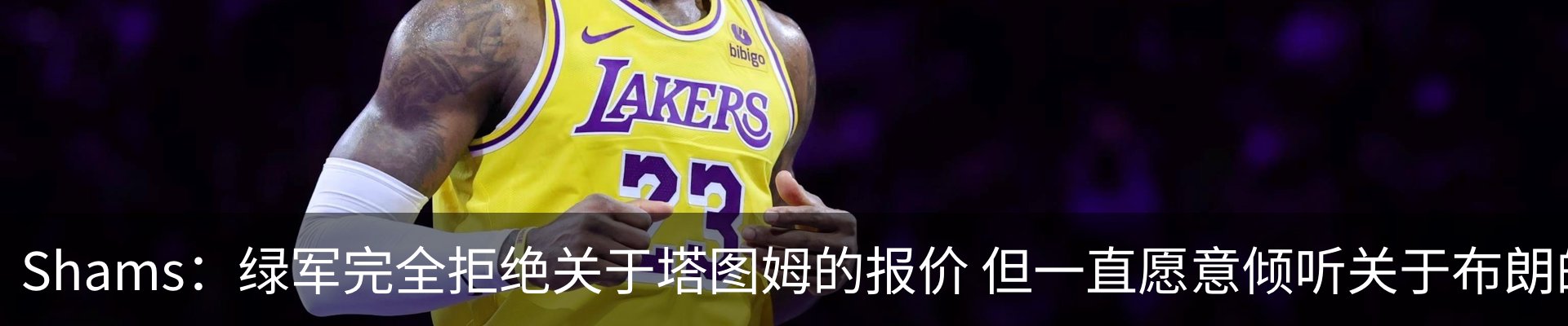 最新动态